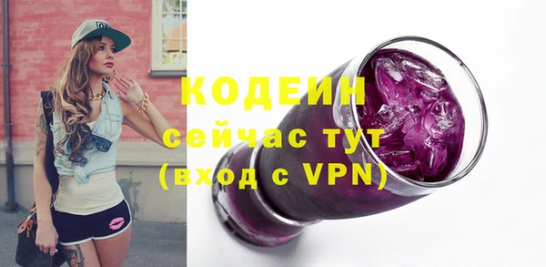 ешки Бородино