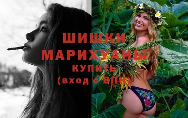 амф Богородск