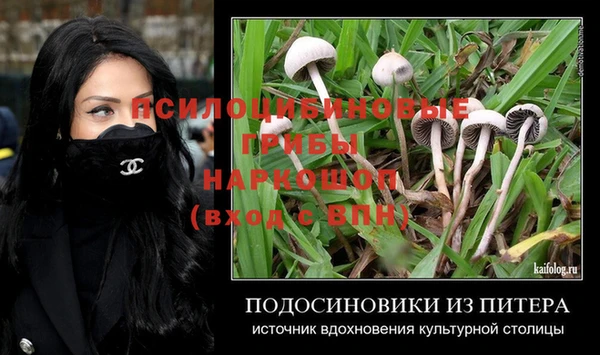 МДМА Богданович
